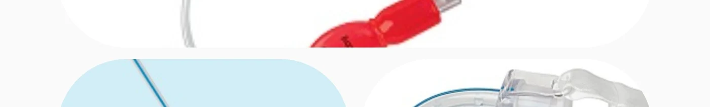 60ba957e-c7c1-4750-8173-461b3deb3a1a-anestchina collage.jpg