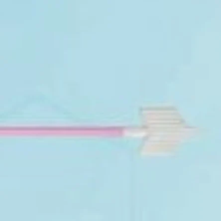 Зонд гинекологический Тип F-1, (Цервик Бранш)